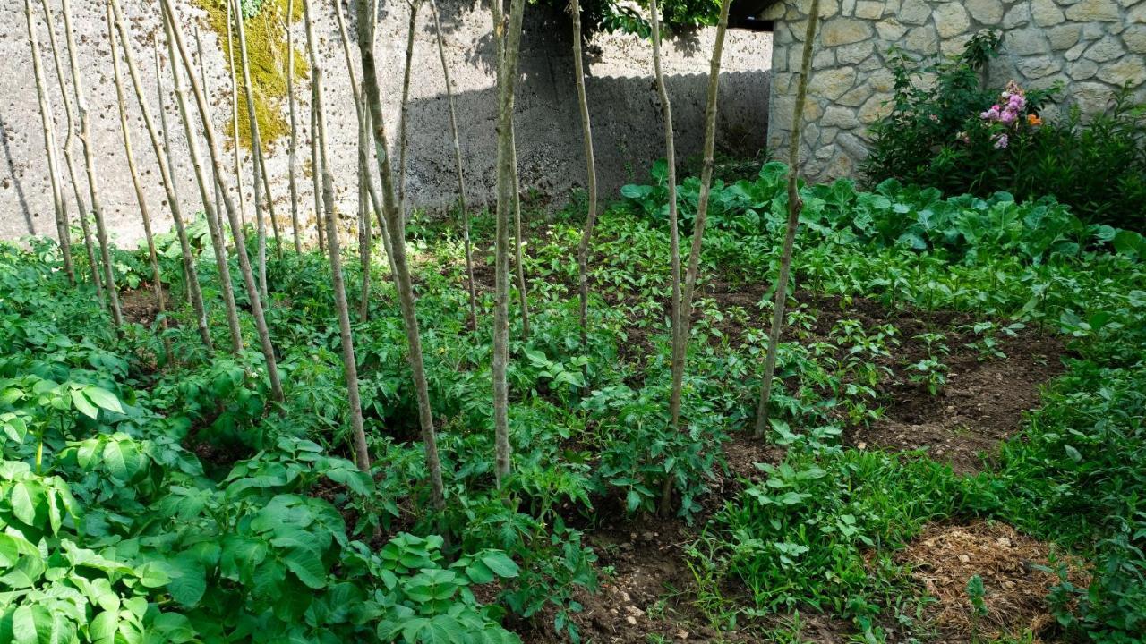 Prevalis Nature Apartment Virpazar