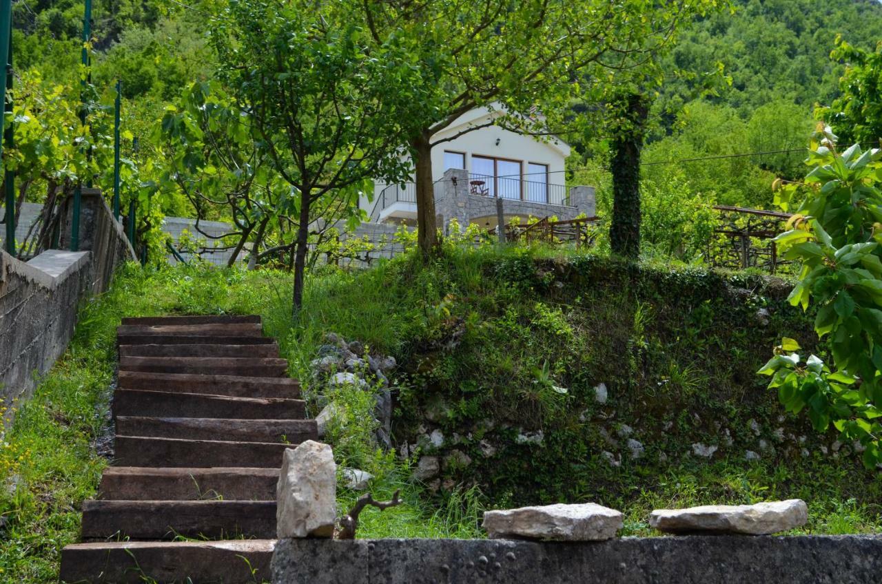 Prevalis Nature Apartment *