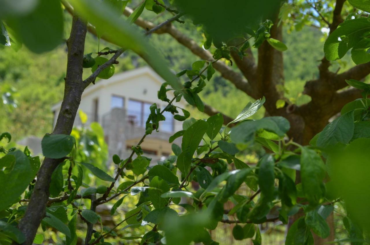 Apartment Prevalis Nature Virpazar