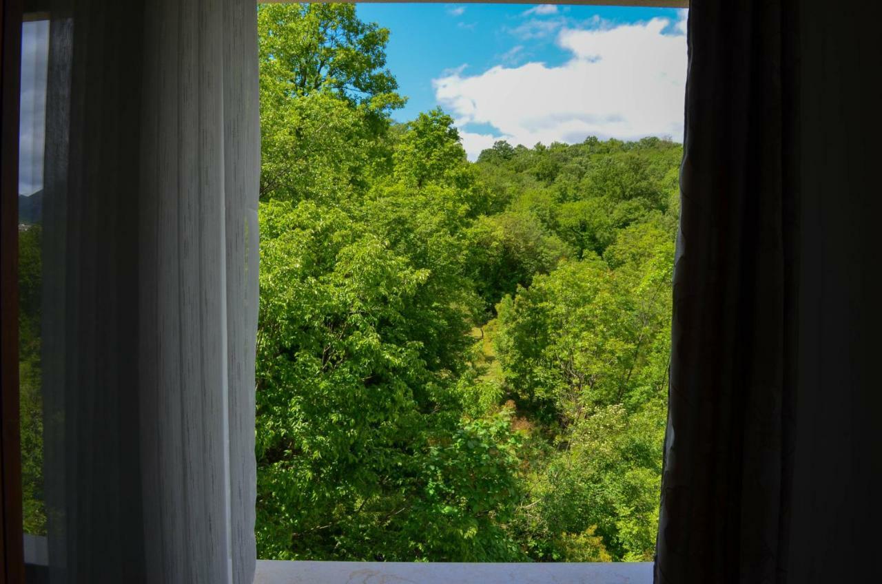 Apartment Prevalis Nature