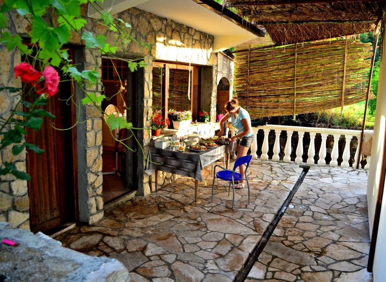 Apartment Prevalis Nature